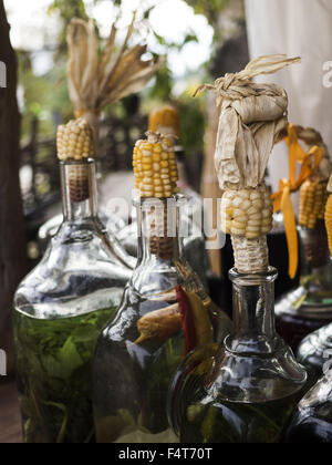 14. Oktober 2015 - Gruppe von Glasflaschen Liköre auf Moonshine geschlossen Maiskolben (Credit-Bild: © Igor Goiovniov über ZUMA Draht) Stockfoto