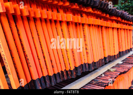 Japan, Kyoto, Fushimi. Inari Schrein. Blick entlang der endlosen Reihe von kleinen Vermillion und Schwarz torii Tor zum Verkauf. Stockfoto