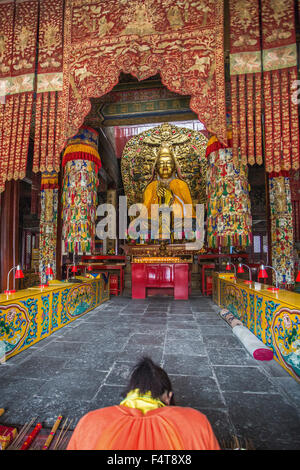 China, Beijing, Peking, Stadt, Lama Tempel Stockfoto