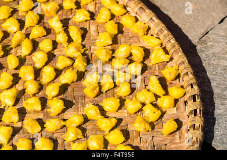 Kartoffelpüree trocknen in der Sonne auf einem Tablet Stockfoto