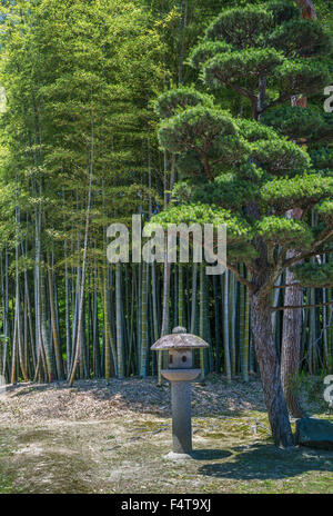 Okayama, Japan Korakuen Garten, Bambus, Holz Stockfoto