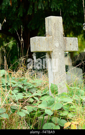 Grabsteine in einem verwilderten Friedhof. Stockfoto