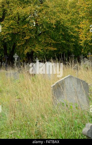 Grabsteine in einem verwilderten Friedhof. Stockfoto