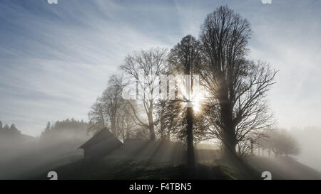 Sonne und Nebel in Trachselwald Stockfoto