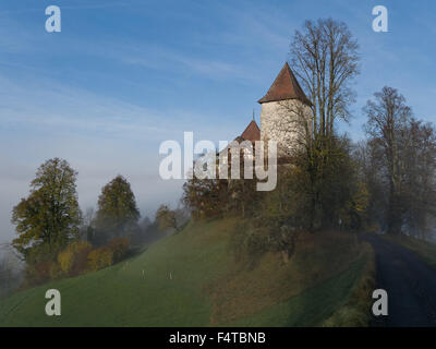 Sonne und Nebel in Trachselwald Stockfoto