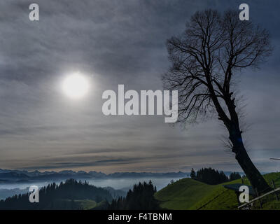 Herbst auf der Lüderen Stockfoto