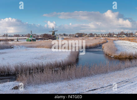 Blumen- und schälen Windmühle genannt De Koker Stockfoto