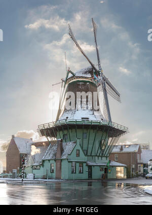 Blumen- und schälen Windmühle genannt De Koker Stockfoto