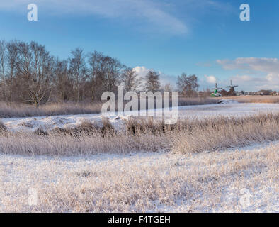 Blumen- und schälen Windmühle genannt De Koker Stockfoto