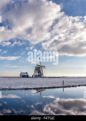 Turm-Mühle namens The Bleak Tod (De Bleeke Dood) Stockfoto