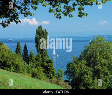 Deutschland, Europa, Baden-Wurttemberg, Constance, Litzelstetten, Mainau, Insel, Insel Mainau, Schlosspark, Bodensee, Bade Stockfoto