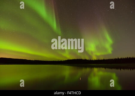 Aurora Borealis über Prosperous See, Yellowknife, Northwest Territories, Kanada Stockfoto