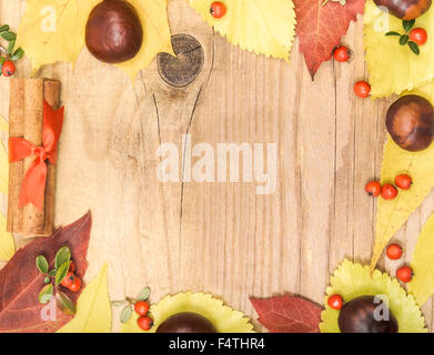 Frame Herbstlaub und Kastanien. Stockfoto