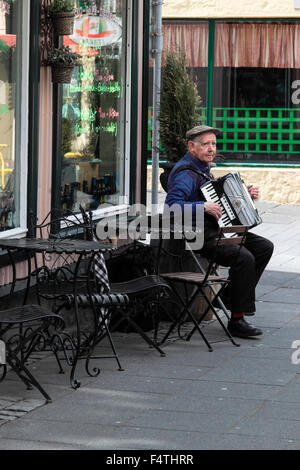 Alter Mann spielt das Akkordeon vor einem Café in der Straße Reykjavik Island Stockfoto