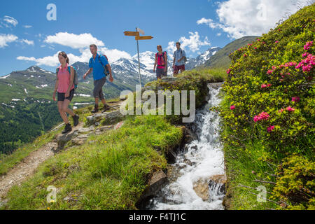 Wandern in der Nähe von Gibidum, Hintergrund: Fletschhorn, Stockfoto