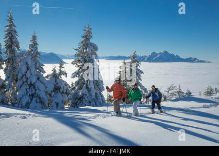 Schneeschuhe, Tour auf Rigi, Nebelmeer, Stockfoto