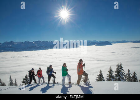 Schneeschuhe, Tour auf Rigi, Nebelmeer, Stockfoto