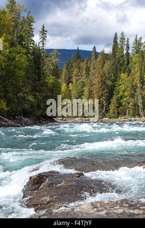 Baileys-Rutsche, einen sehr schnellen Wasserfall im Wells Gray Provincial Park in British Columbia, Kanada. Stockfoto