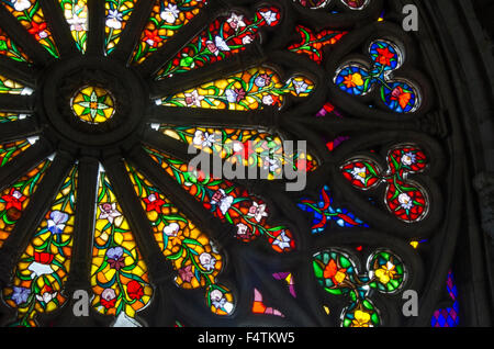 Rosette an der Basilika del Voto Nacional Stockfoto