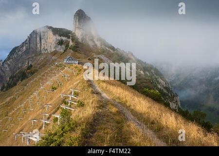 Stauberen, Schweiz, Kanton Appenzell, Appenzell Innerrhoden, Alpstein, Berggasthof, Restaurant, Wanderweg, Lawine Protec Stockfoto