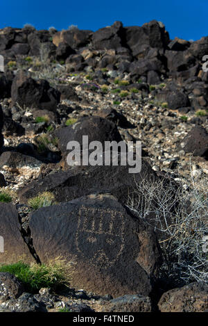 Petroglyph, Nationaldenkmal, Albuquerque, new Mexico, USA, Amerika, historische Stockfoto