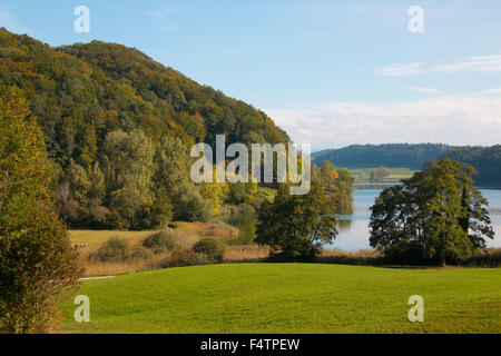 Schweiz, Europa, Kanton Zürich, Türlersee, See, Herbst, Albis, Holz, Wald, Stockfoto