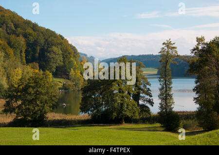 Schweiz, Europa, Kanton Zürich, Türlersee, See, Herbst, Albis, Holz, Wald, Stockfoto