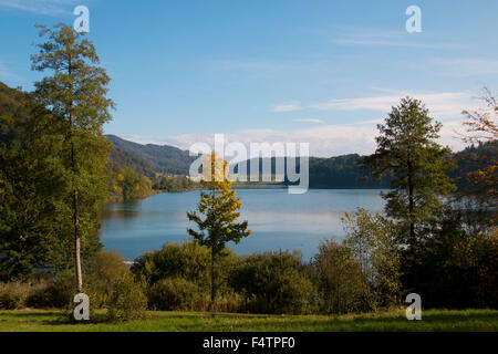 Schweiz, Europa, Kanton Zürich, Türlersee, See, Herbst, Albis, Holz, Wald, Stockfoto