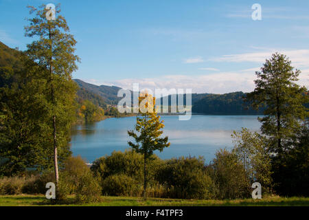 Schweiz, Europa, Kanton Zürich, Türlersee, See, Herbst, Holz, Wald, Stockfoto