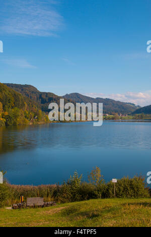 Schweiz, Europa, Kanton Zürich, Türlersee, See, Herbst, Albis, Holz, Wald, Stockfoto