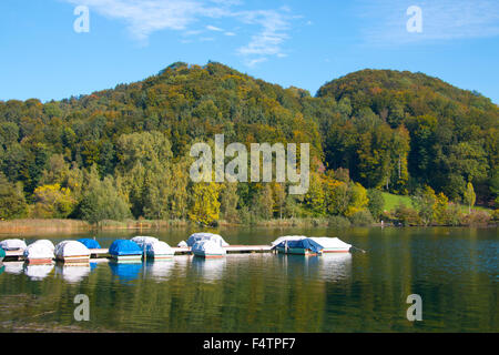 Schweiz, Europa, Kanton Zürich, Türlersee, See, Herbst, Albis, Holz, Wald, Boote Stockfoto