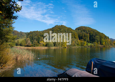 Schweiz, Europa, Kanton Zürich, Türlersee, See, Herbst, Albis, Holz, Wald, Boote Stockfoto