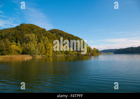 Schweiz, Europa, Kanton Zürich, Türlersee, See, Herbst, Albis, Holz, Wald, Stockfoto