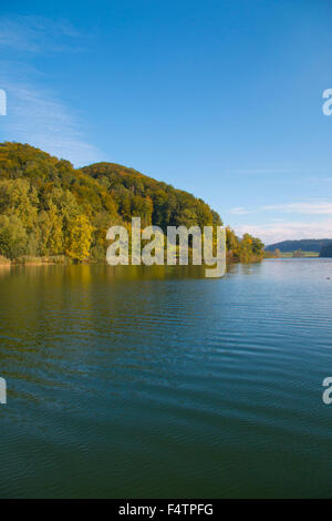 Schweiz, Europa, Kanton Zürich, Türlersee, See, Herbst, Albis, Holz, Wald, Stockfoto