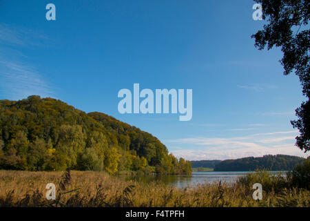 Schweiz, Europa, Kanton Zürich, Türlersee, See, Herbst, Albis, Holz, Wald, Schilf Stockfoto