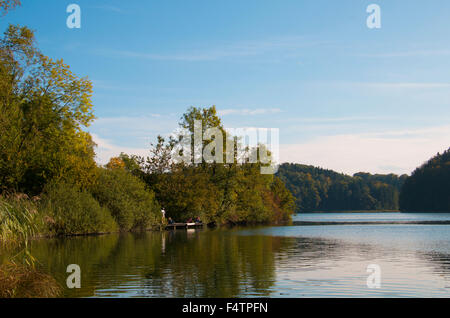 Schweiz, Europa, Kanton Zürich, Türlersee, See, Herbst, Stockfoto