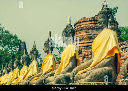 Buddha-Statuen in Ayutthaya, Thailand. 1767 wurde die Stadt von der birmanischen Armee zerstört. Die Ruinen sind in Ayutthaya erhalten. Stockfoto