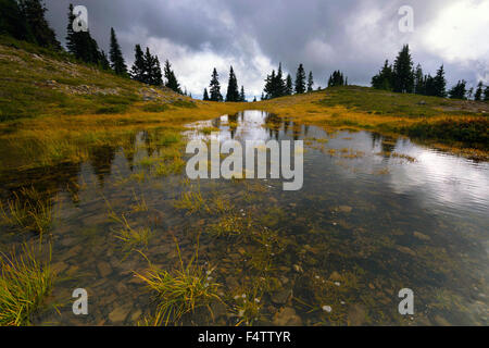 Mt. Cheam Trail Stockfoto