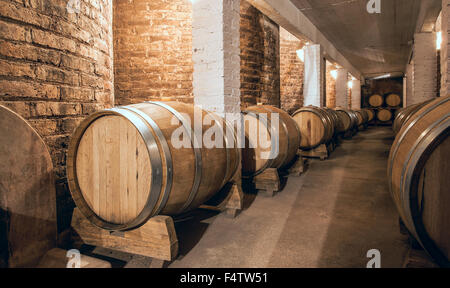 Weinfässer im Keller der Malbec, Provinz Mendoza, Argentinien Stockfoto