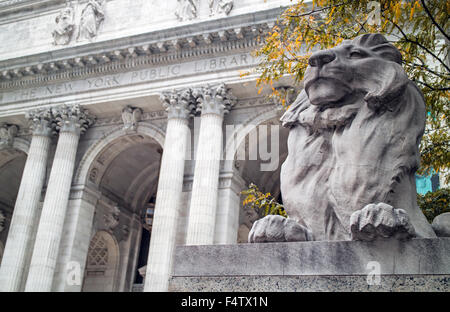 Löwe Statue New York Public Library Manhattan Stockfoto