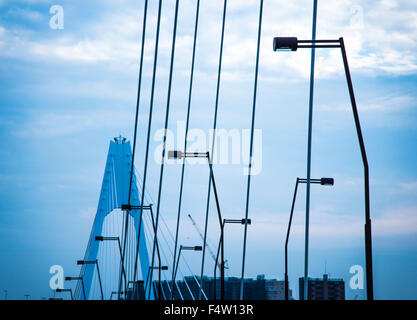 Daishihashi Brücke verbindet über Tamagawa Fluss, Ota-Ku, Tokio und Kawasaki City, Präfektur Kanagawa, Japan Stockfoto