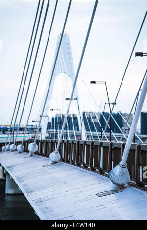 Daishihashi Brücke verbindet über Tamagawa Fluss, Ota-Ku, Tokio und Kawasaki City, Präfektur Kanagawa, Japan Stockfoto