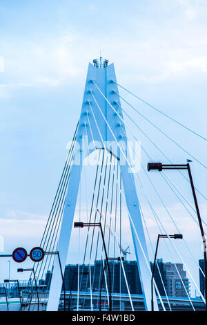 Daishihashi Brücke verbindet über Tamagawa Fluss, Ota-Ku, Tokio und Kawasaki City, Präfektur Kanagawa, Japan Stockfoto