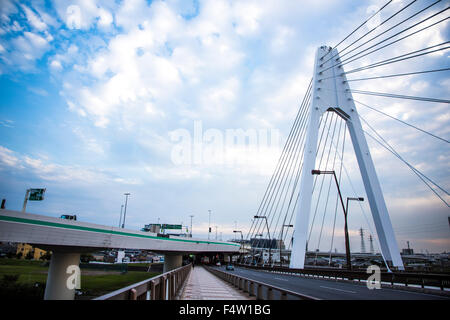 Daishihashi Brücke verbindet über Tamagawa Fluss, Ota-Ku, Tokio und Kawasaki City, Präfektur Kanagawa, Japan Stockfoto