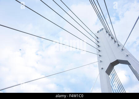 Daishihashi Brücke verbindet über Tamagawa Fluss, Ota-Ku, Tokio und Kawasaki City, Präfektur Kanagawa, Japan Stockfoto
