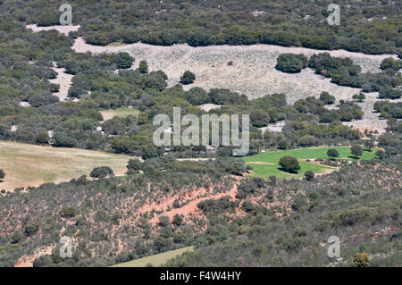 Mediterranen Wald über Quarzit Berge Stockfoto