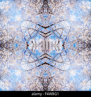 Symmetrische Muster in den Farben blau, um den Hintergrund oder Plakat. Das Muster aus einem Foto ein Bäume erstellt. Abstracts. Deko Stockfoto