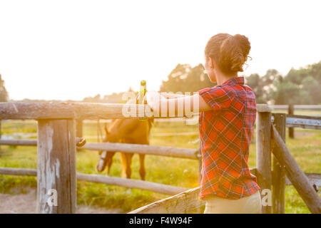 Frau, Bier trinken und beobachten Pferd in ländlichen Weide Stockfoto