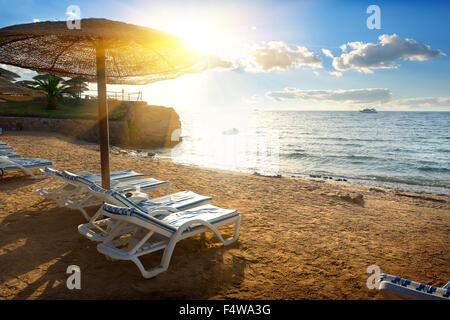 Chaise Longues am Strand des Roten Meeres Stockfoto