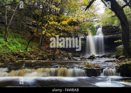 Summerhill Kraft und Bowlees Beck im Herbst, Bowlees, Teesdale, County Durham UK Stockfoto